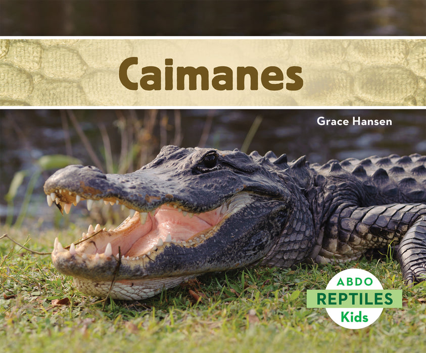 Caimanes (Alligators)