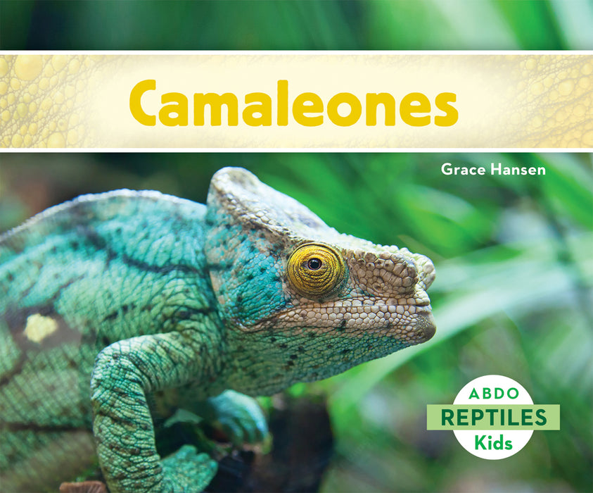 Camaleones (Chameleons)