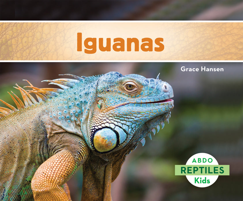 Iguanas (Iguanas)