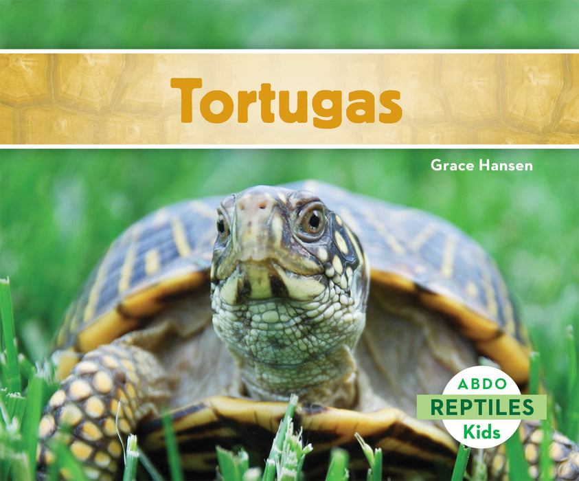 Tortugas (Turtles)