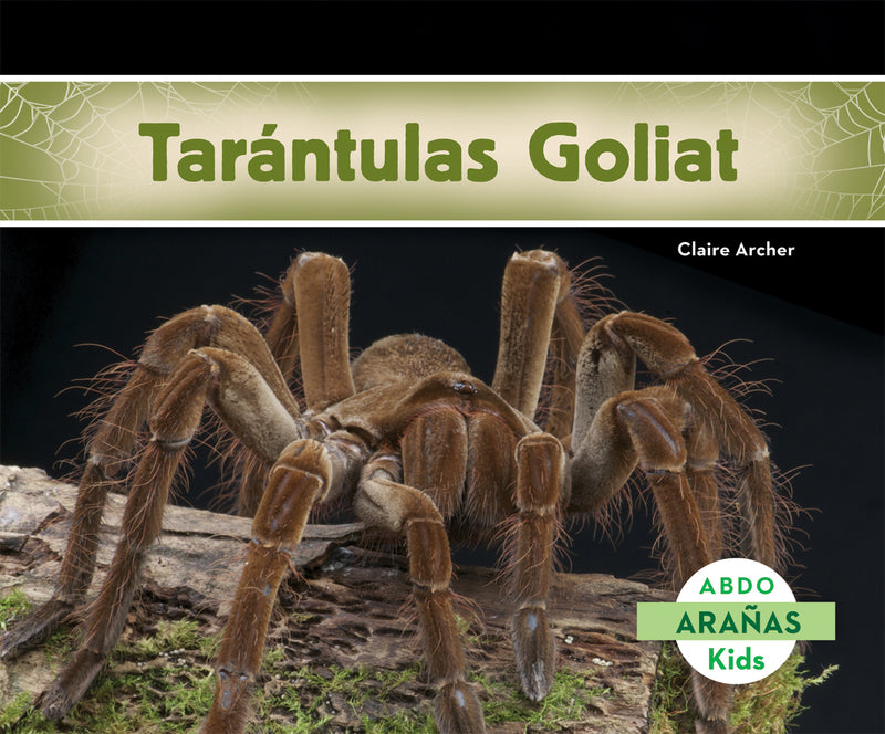 Tarantulas Goliat (Bird-Eating Spiders)