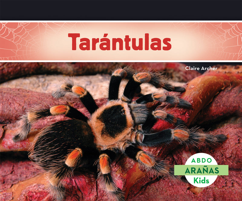 Tarantulas (Tarantula Spiders)