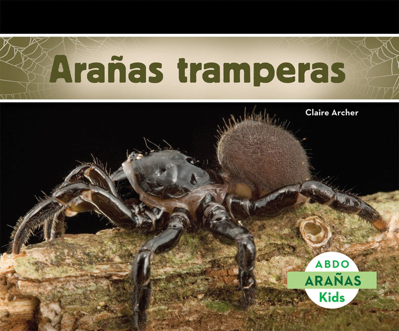 Aranas tramperas (Trapdoor Spiders)