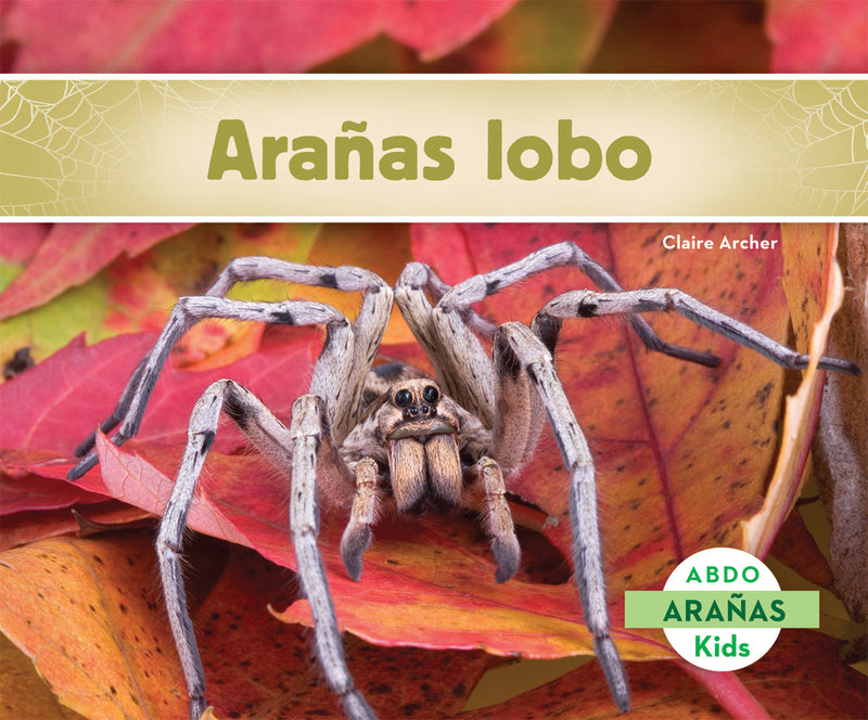 Aranas lobo (Wolf Spiders)