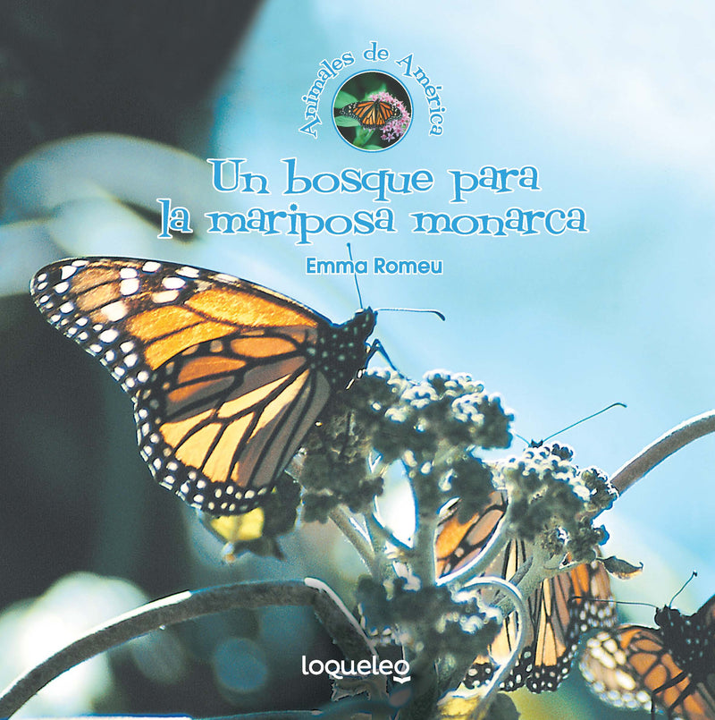 Un bosque para la mariposa monarca