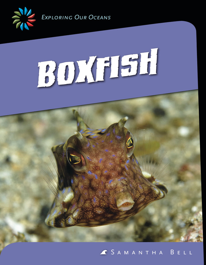 Boxfish
