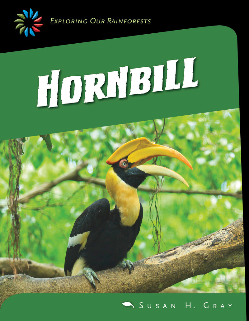 Great Hornbill
