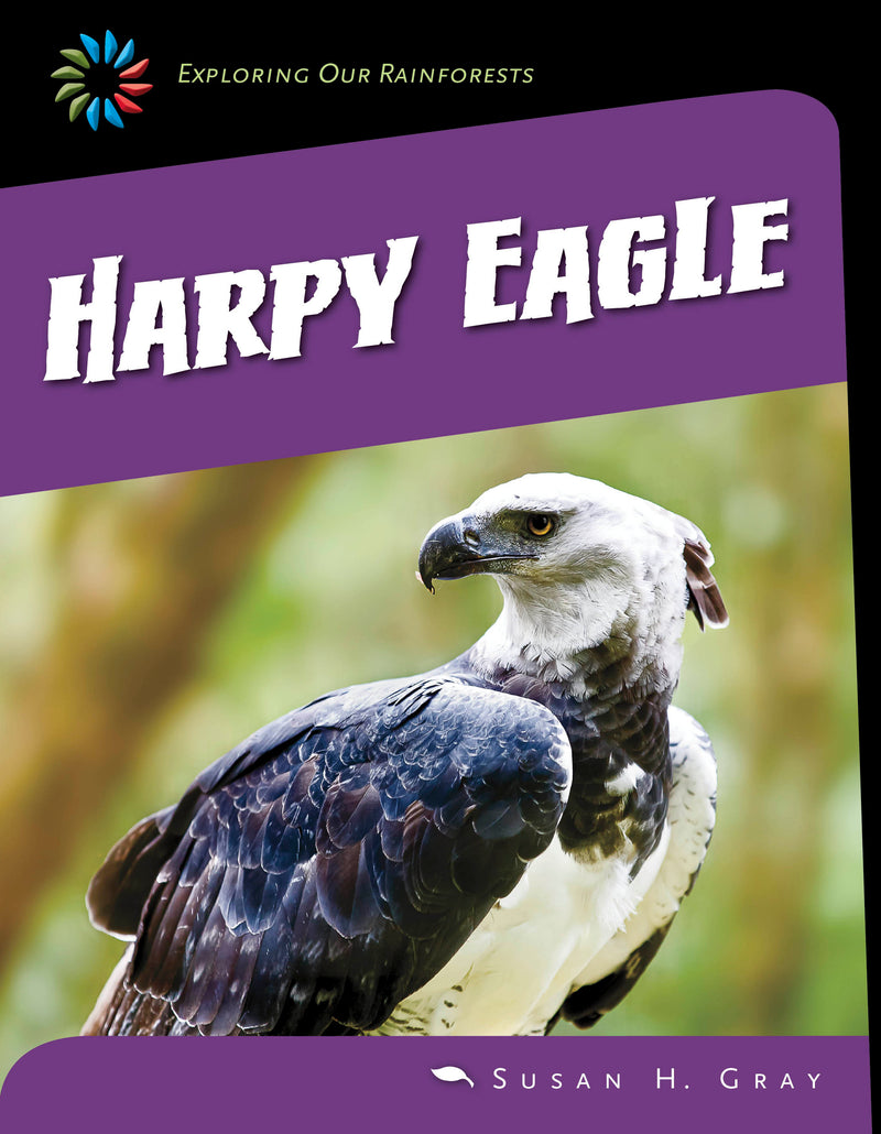 Harpy Eagle