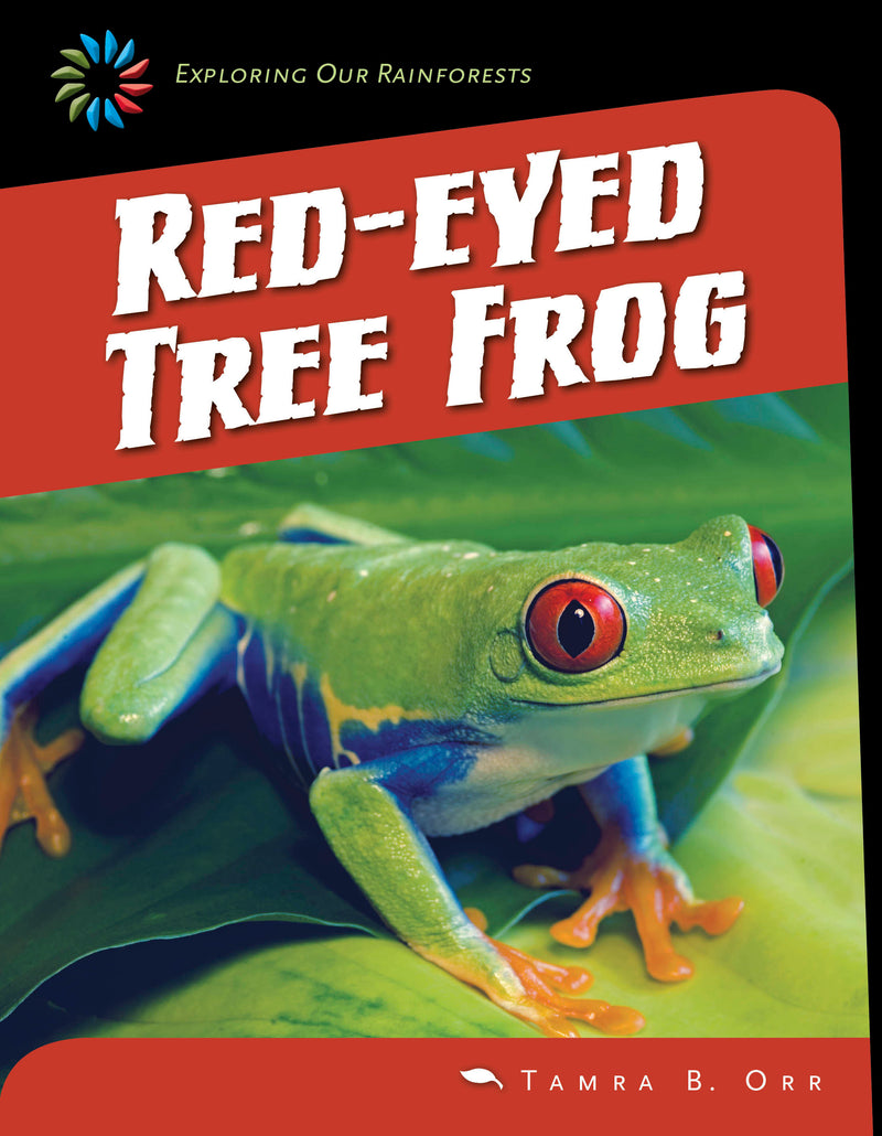 Red-eyed Tree Frog