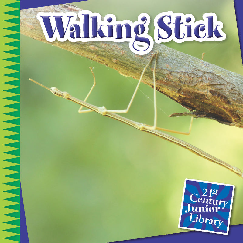 Walking Stick