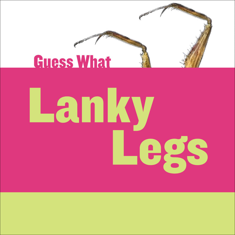 Lanky Legs