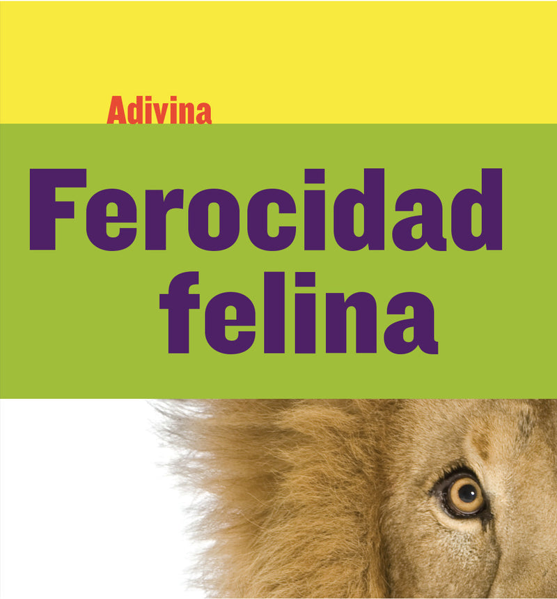 Fiercely Feline