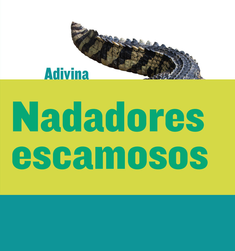 Scaly Swimmers
