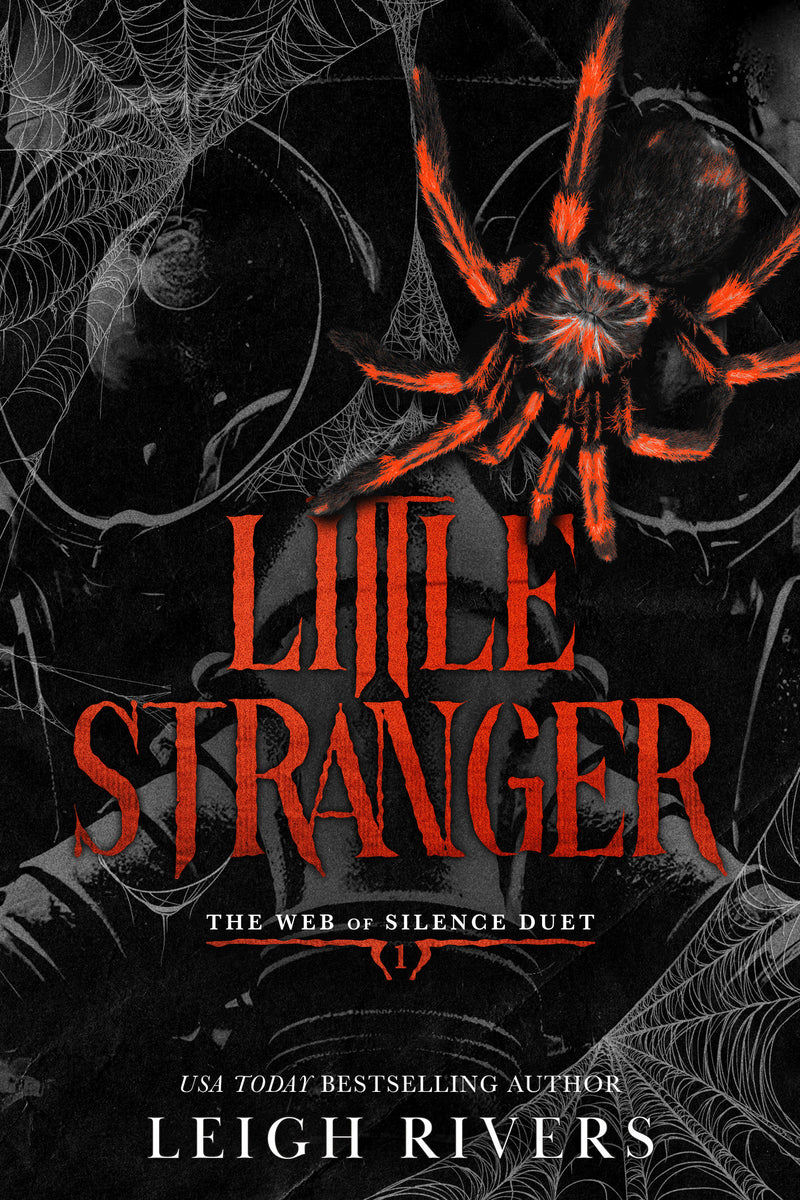 Little Stranger: A Dark Taboo Romance