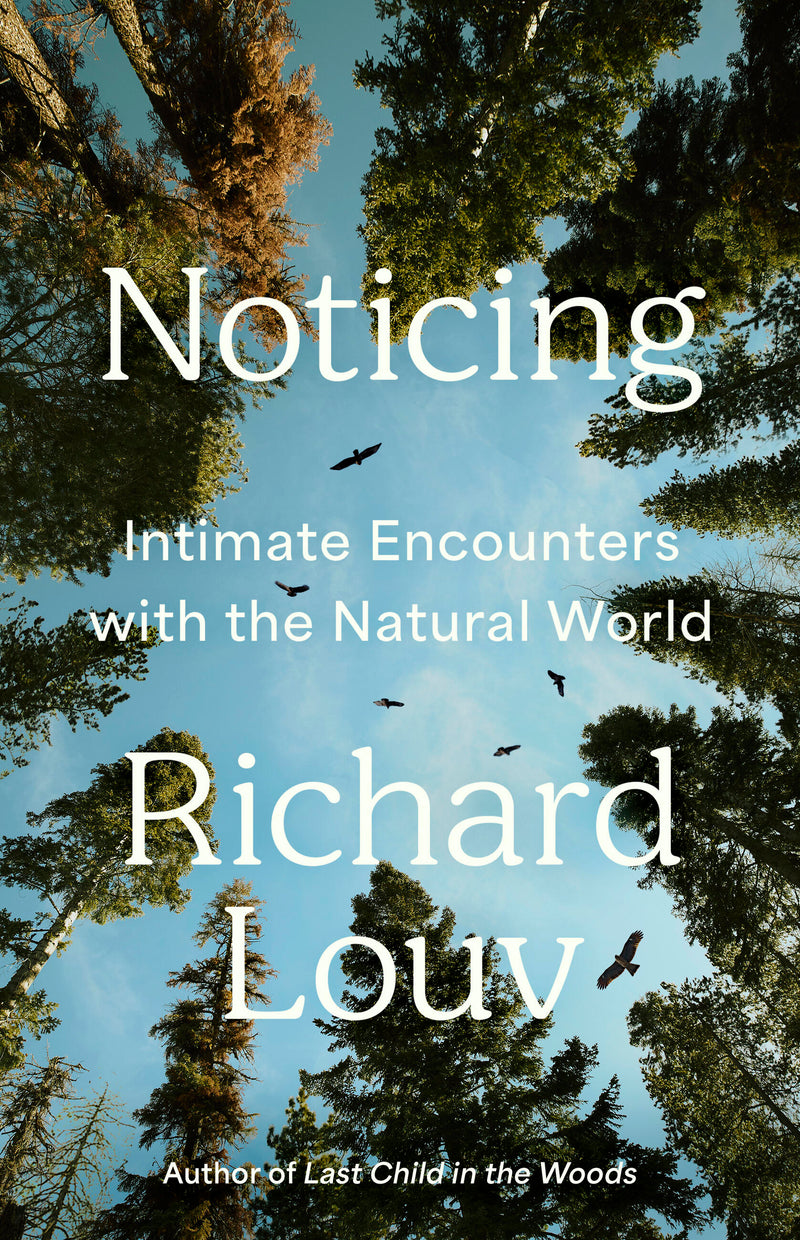 Noticing
