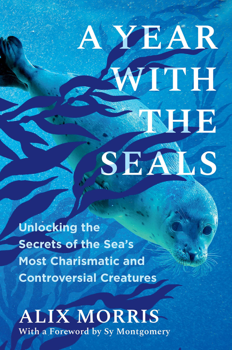 A Year with the Seals