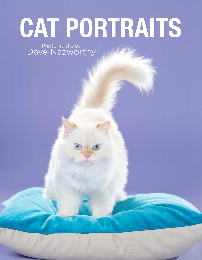 Cat Portraits