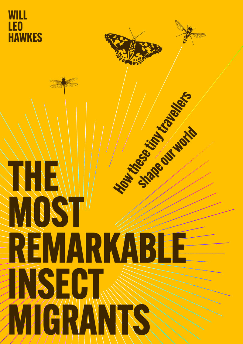 The Most Remarkable Insect Migrants: How These Tiny Travellers Shape Our World