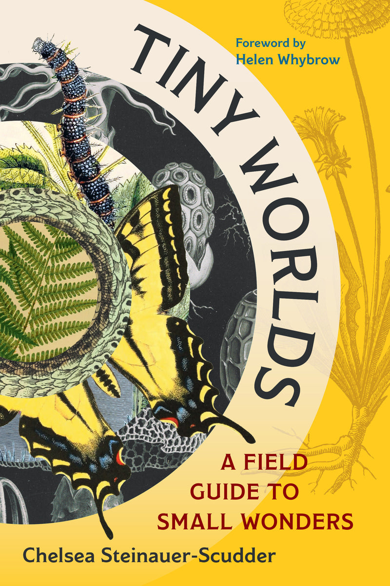 Tiny Worlds: A Field Guide to Small Wonders