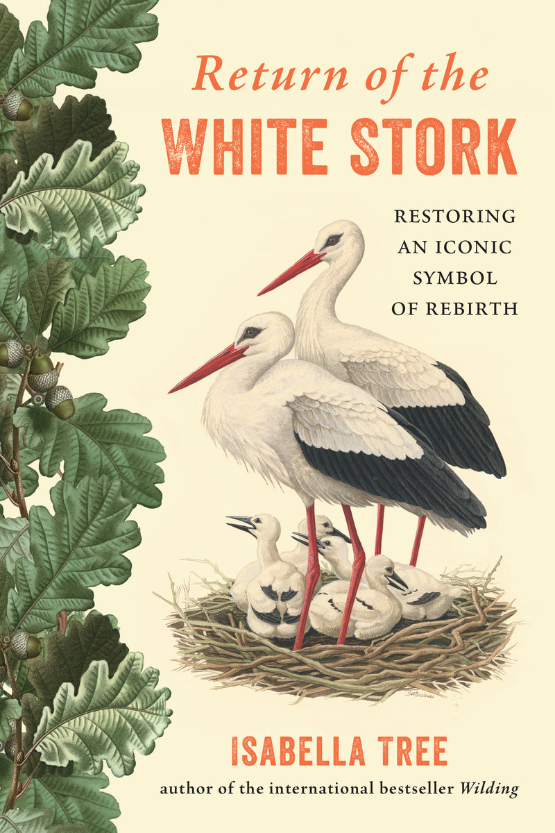 Return of the White Stork: Restoring an Iconic Symbol of Rebirth