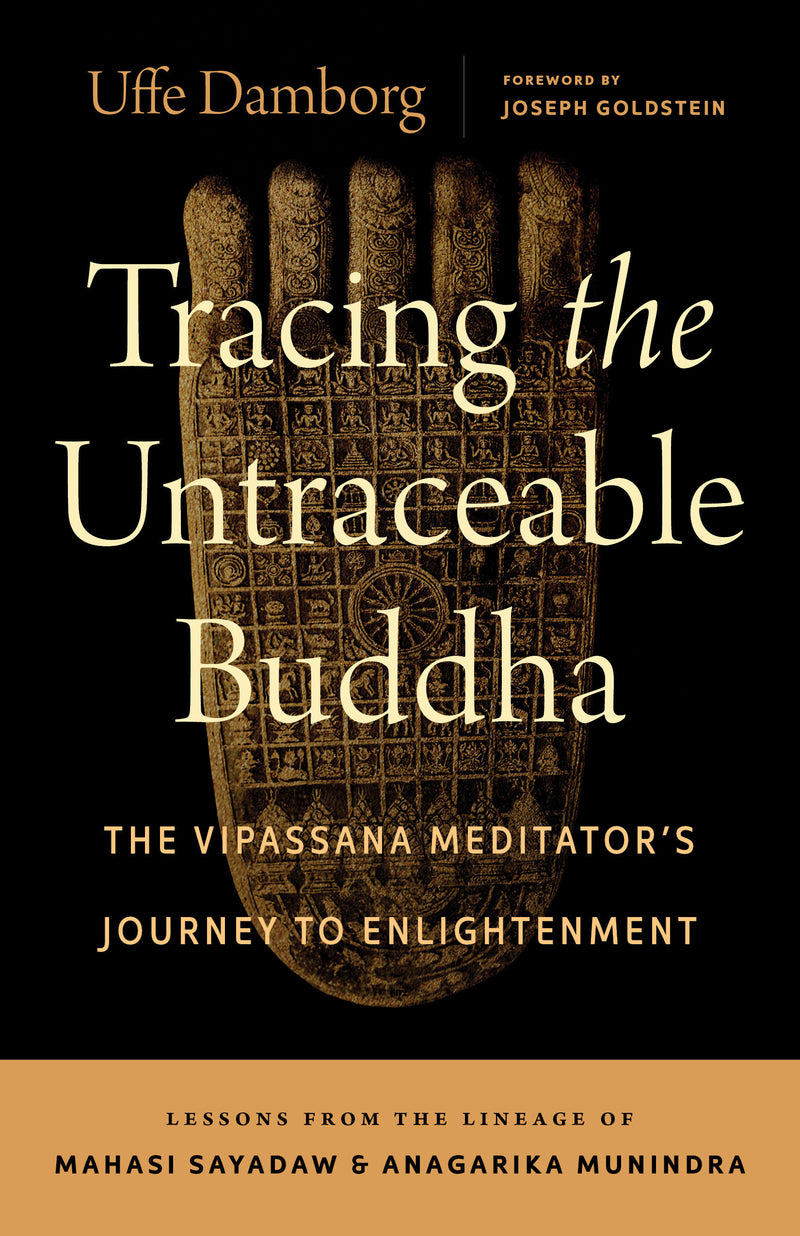 Tracing the Untraceable Buddha: The Vipassana Meditator's Journey to Enlightenment