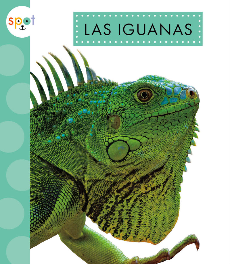 Las iguanas