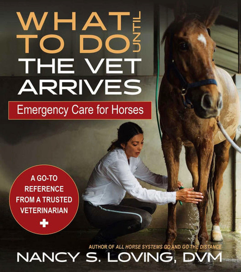 What to Do Until the Vet Arrives