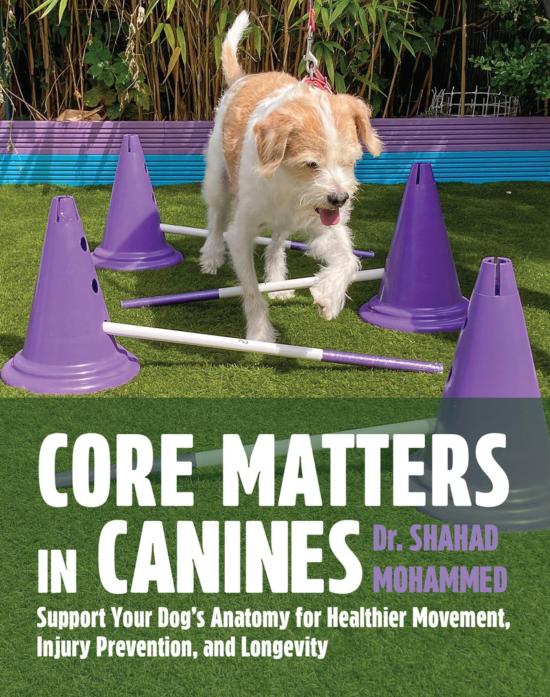 Core Matters in Canines