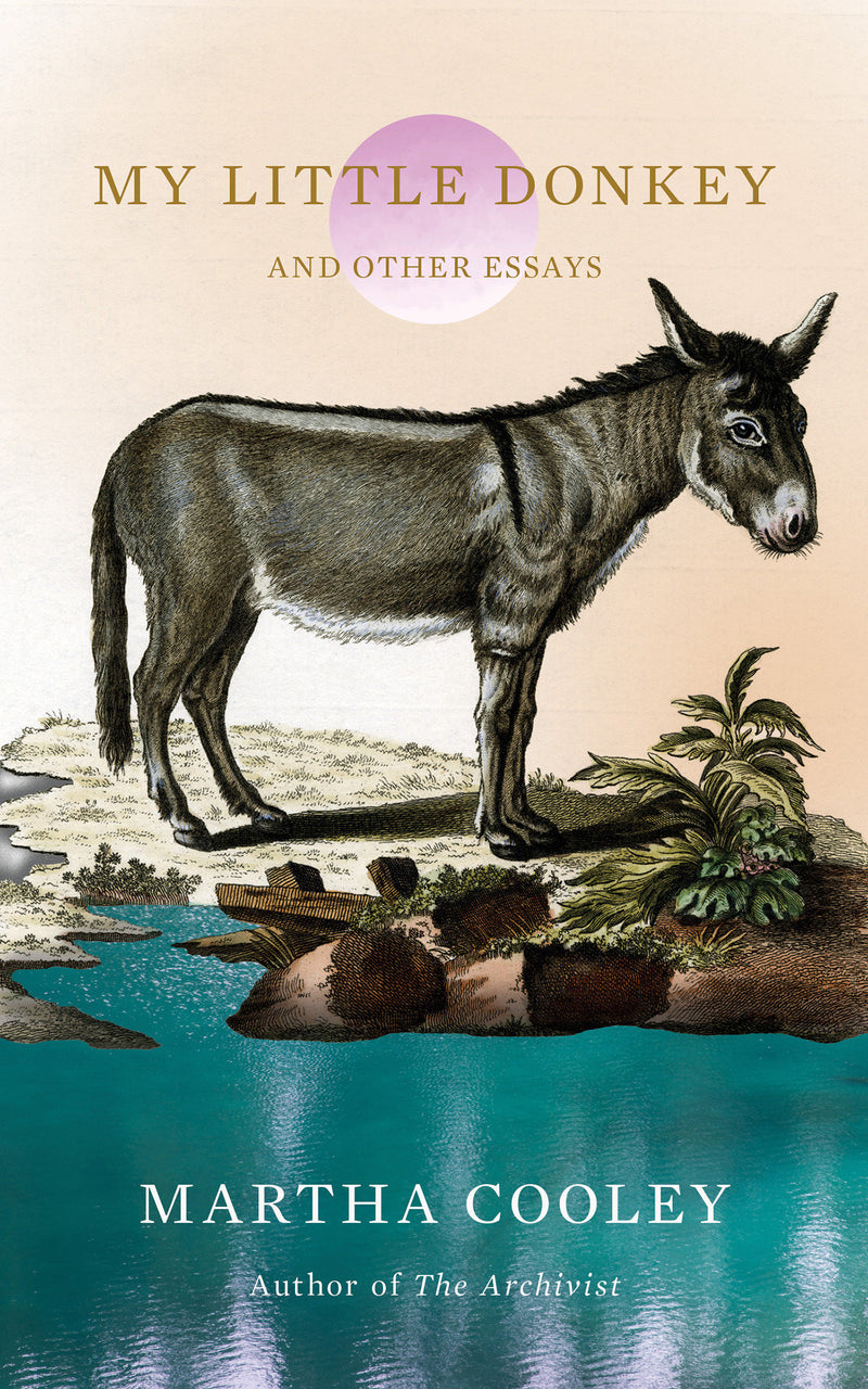 My Little Donkey:And Other Essays