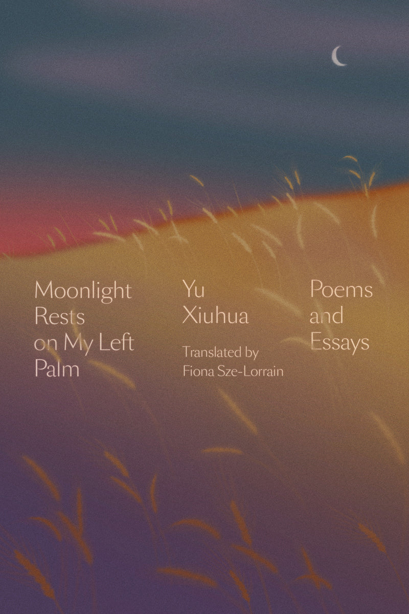 Moonlight Rests on My Left Palm