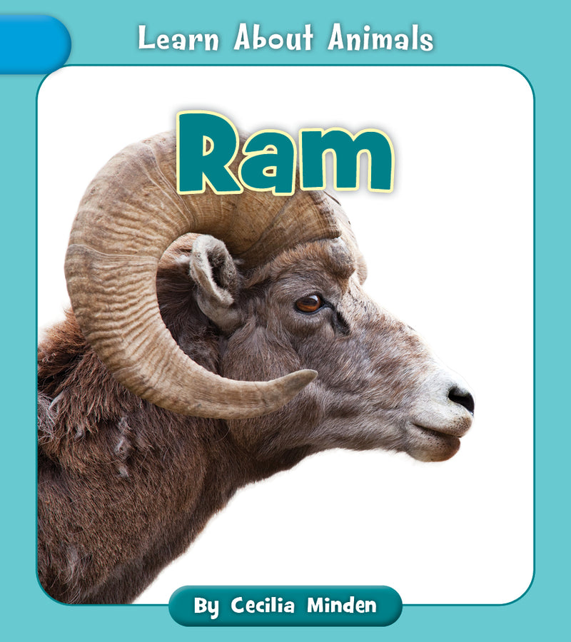 Ram (Learn About Animals)