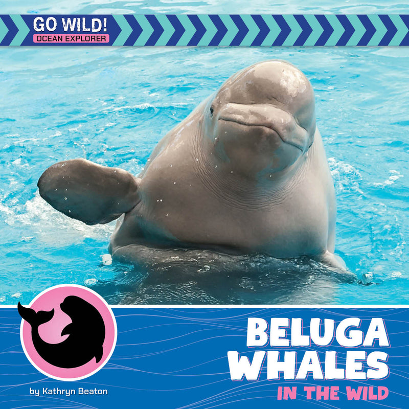 Beluga Whales in the Wild (21st Century Beginning Library: Go Wild! Ocean Explorer)