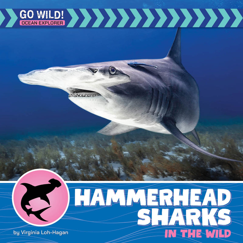Hammerhead Sharks in the Wild (21st Century Beginning Library: Go Wild! Ocean Explorer)
