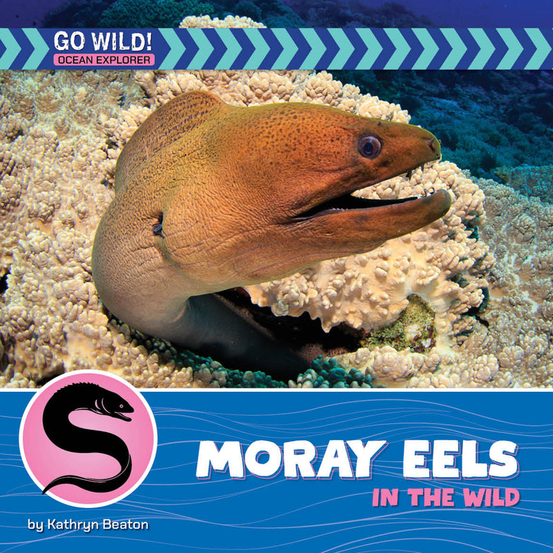 Moray Eels in the Wild (21st Century Beginning Library: Go Wild! Ocean Explorer)