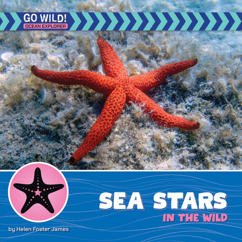 Sea Stars in the Wild (21st Century Beginning Library: Go Wild! Ocean Explorer)