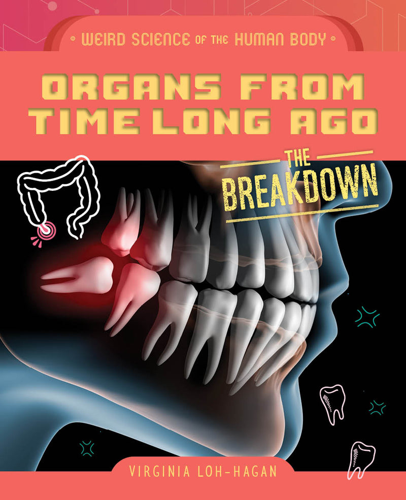 Organs from Time Long Ago (Weird Science of the Human Body: The Breakdown)
