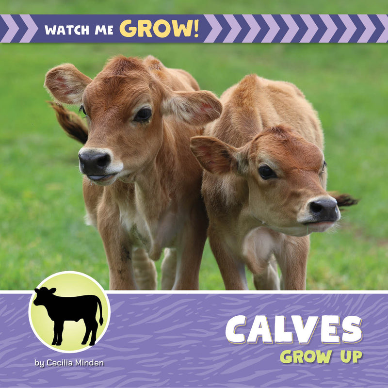 Calves Grow Up (21st Century Beginning Library: Watch Me Grow!)