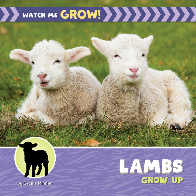 Lambs Grow Up (21st Century Beginning Library: Watch Me Grow!)