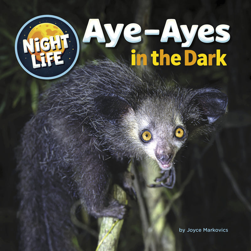 Aye-Ayes in the Dark (Night Life)