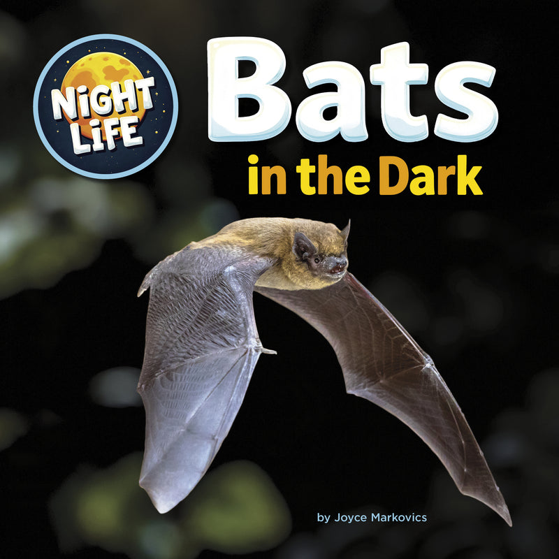 Bats in the Dark (Night Life)