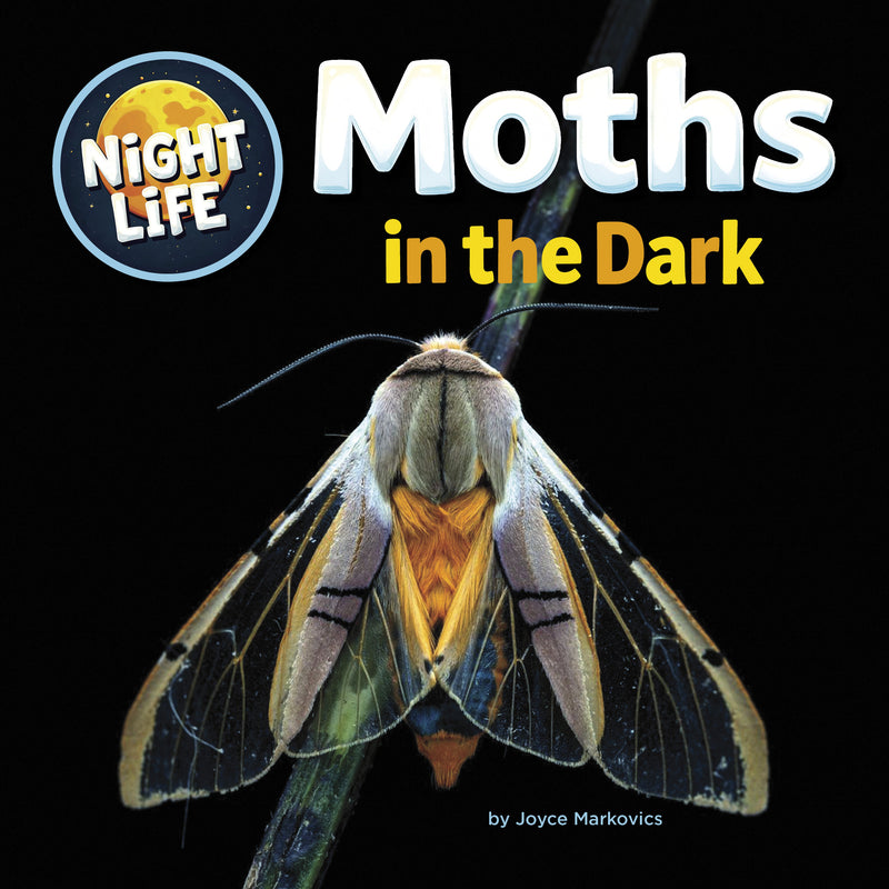 Moths in the Dark (Night Life)