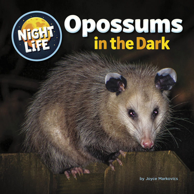 Opossums in the Dark (Night Life)