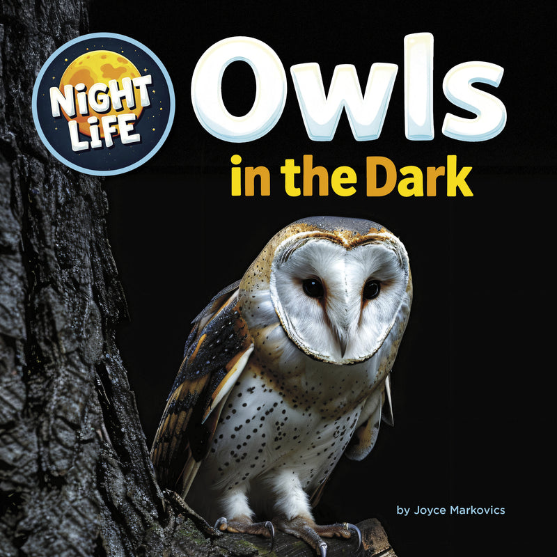 Owls in the Dark (Night Life)