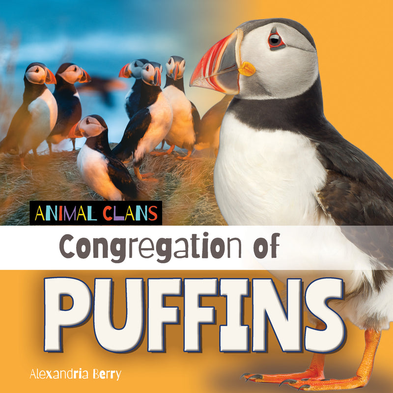 Congregation of Puffins (Animal Clans)