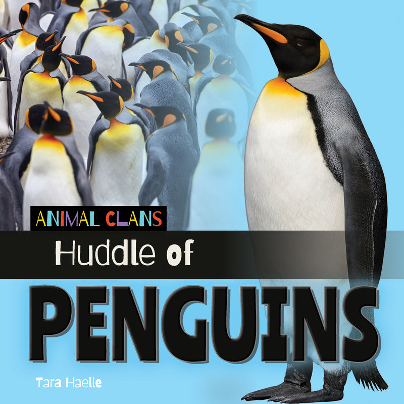 Huddle of Penguins (Animal Clans)