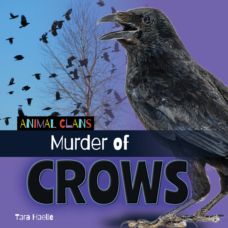Murder of Crows (Animal Clans)