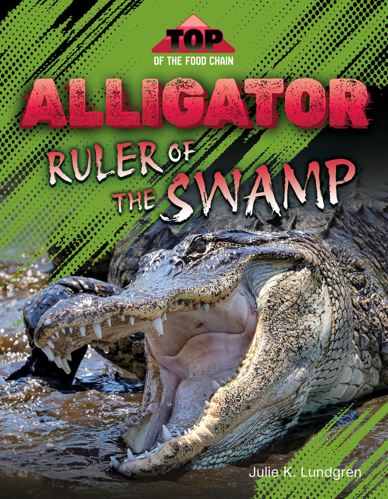 Alligator: Ruler of the Swamp (TOP of the Food Chain)