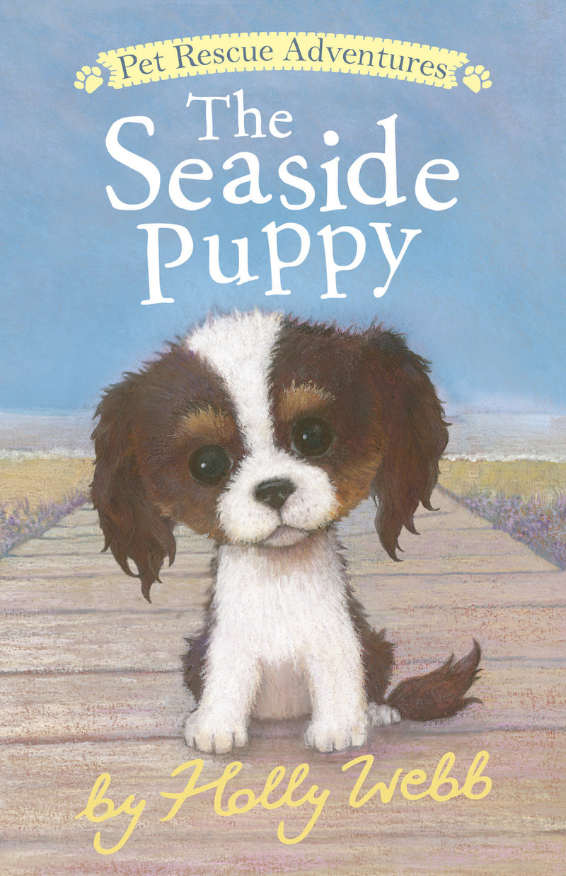 Pet Rescue Adventures