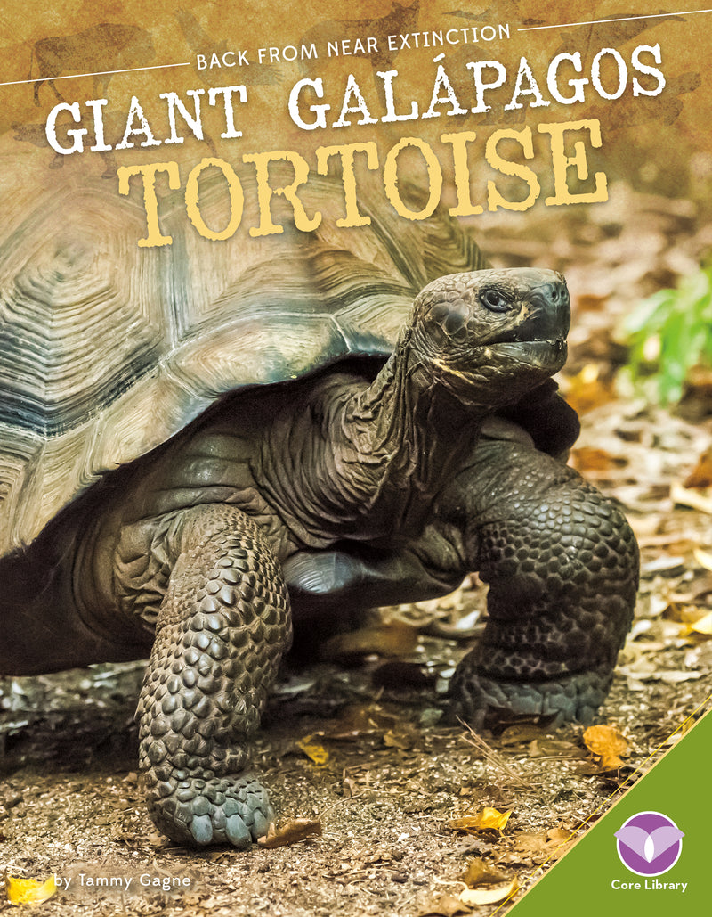 Giant Galбpagos Tortoise