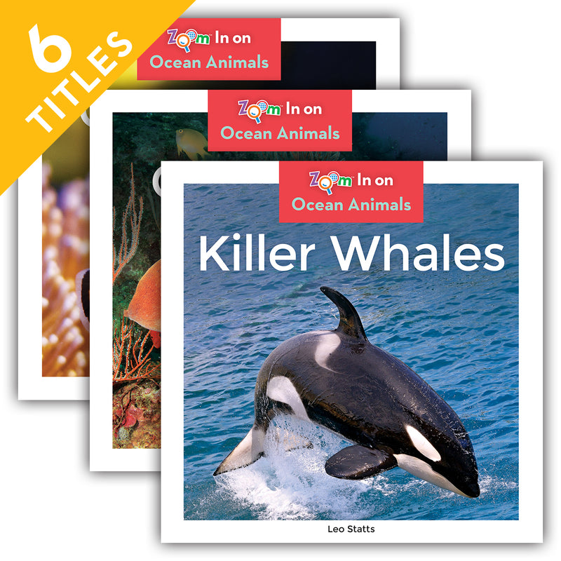 Ocean Animals (Set)